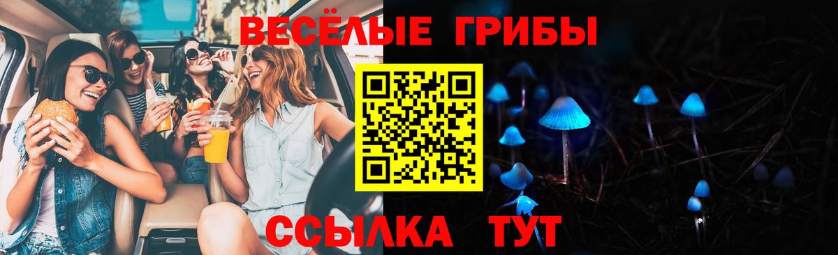 Галлюциногенные грибы MAGIC MUSHROOMS  Вход с VPN  Горно-Алтайск  Галлюциногенные грибы мицелий 